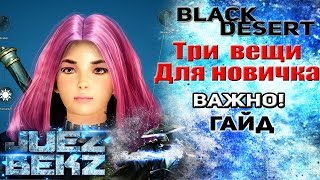 Black Desert Гайд: Три важных момента на старте новичку