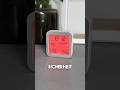 Schimmel vorbeugen und entfernen🦠✅ #schimmel  #uhr
