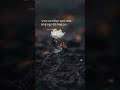#quotes #thoughts #sad #motivation #love #odiapoem #youtubeshorts #alone