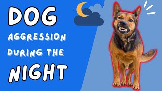 Why Your Dog Is Aggressive at NIGHT and How to STOP It by Dog Training Advice Tips 261 views 3 weeks ago 6 minutes, 9 seconds