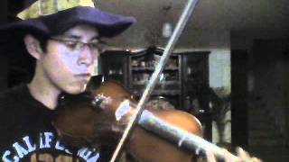 dan dan kokoro hikareteku cover violin