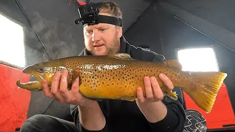 INSANE SIGHT FISHING for MONSTER TROUT!! (MY PB)