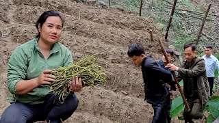 Gardening And Growing Sweet Potatoes Life Is Peaceful When The Thief Is Caught