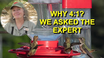 The Best Hummingbird Nectar Recipe has a History!