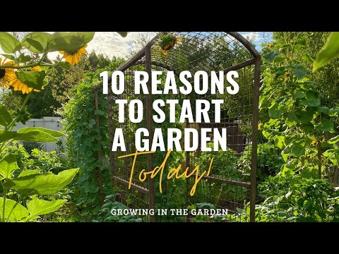 Video: Starta en trädgård – bra skäl att börja trädgårdsarbete