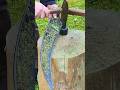 Blade Punching