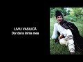 Liviu Vasilica Dor De La Inima Mea