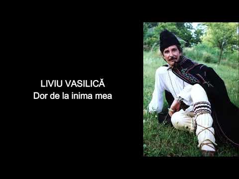 Liviu Vasilica Dor De La Inima Mea