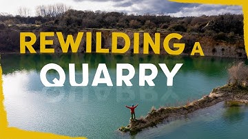 We are rewilding a quarry - here’s why
