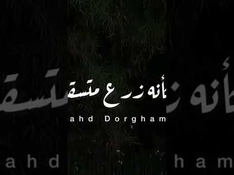 كداب يروح مالوش رجوع رامي صبري