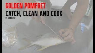 Catch,Clean,Cook - Golden Pomfret from SG fishing pond!