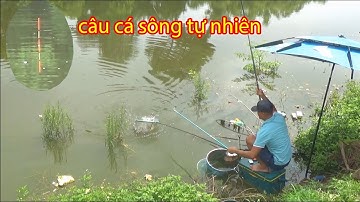 thử đi câu cá sông tự nhiên - và cách chộn mồi câu cá tự nhiên em thường đánh