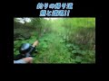 釣りの帰り道で熊と遭遇！