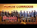 Cardenales De Nuevo León vs Los Invasores de Nuevo León Sus Mejores Corridos ||  Puros Corridos Mix