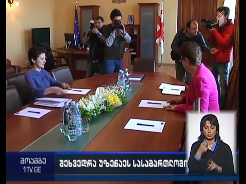 რა საკითხები განიხილეს ნინო გვენეტაძემ და თეა წულუკიანმა