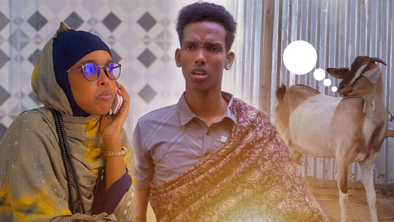 Maalinta Ciida In Lagu Balamiyay Sidaan Ma Kugu Dhacday?@jiilmedia