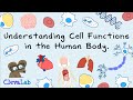 Understanding cell functions in the human body