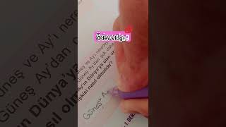 Vlogg