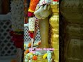 #music #newsong #coversong #youtube #shirdi #gautamarora #share