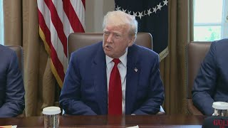President Trump talks tariffs: 'Maybe the children will have 2 dolls instead of 30 dolls'