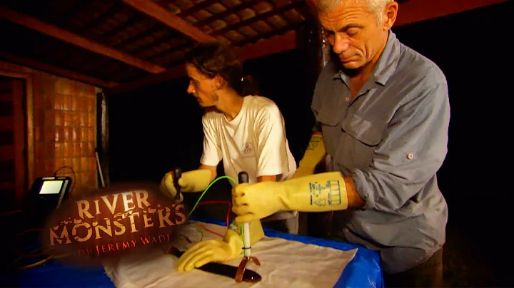 The Shocking Biology Of Electric Eels | EELS | River Monsters - DayDayNews