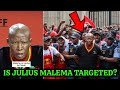 Analysis| What Happenes If Julius Malema is Jailed 