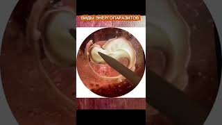 маркеры энергопаразита на отливке #восковыеотливки #отливкивоском #защитнаямагия #отливка