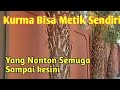 Alhamdulillah Sampai Juga Ke Negeri Unta