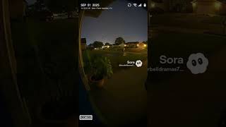 The Plant That Keeps Moving #theaudacity #neighborhoodwatch #wrongaddress