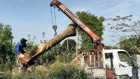 Cần cẩu UNIC 330, cẩu cây khủng dưới bờ kinh .