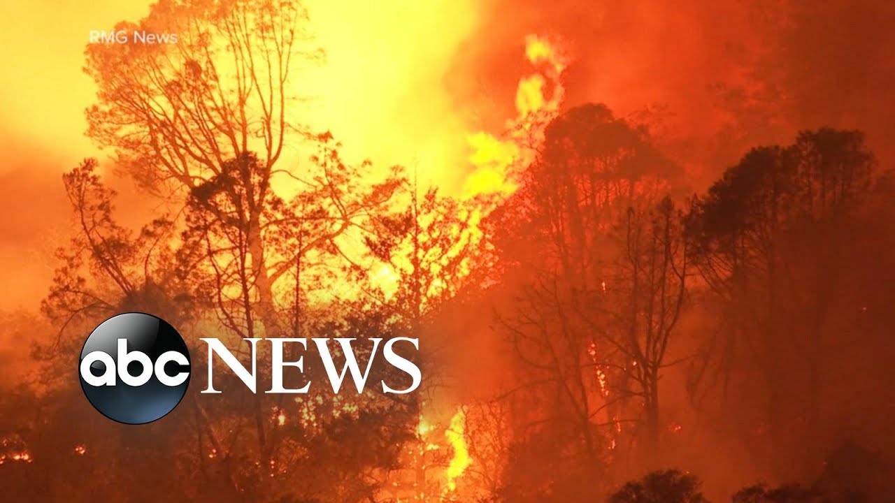 Wildfires Claim At Least 3 More Lives Authorities Urge Evacuations Wnt Youtube Author Evacuation Life