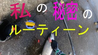 アキアジ釣り釣果が２倍！私の秘密のルーティーン 北海道の鮭釣り朝活16日目 VLOG 2019.9.29