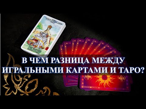 Видео: В чем разница между всем и всем?