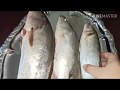 فيديو بيوضح غش بياع سمك بين سمك لوت ومئوير وقاروص فرق ف طعم وسعر كبير لازم تفهمو