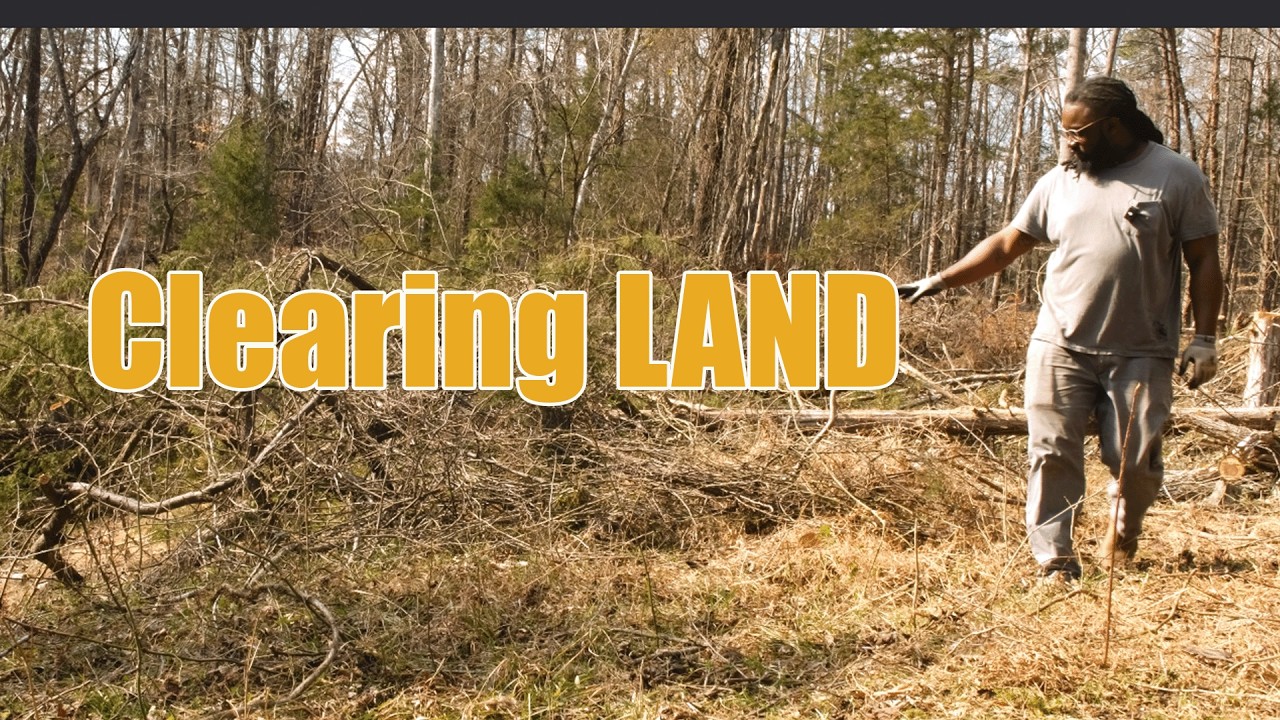 Chainsaw, Mower, and Determination | Homestead Progress