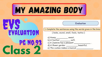 Tn Samacheer class 2 Term 1 Evs My Amazing Body Lesson Evaluation (pg 93)-Evs Exercise,2nd standard