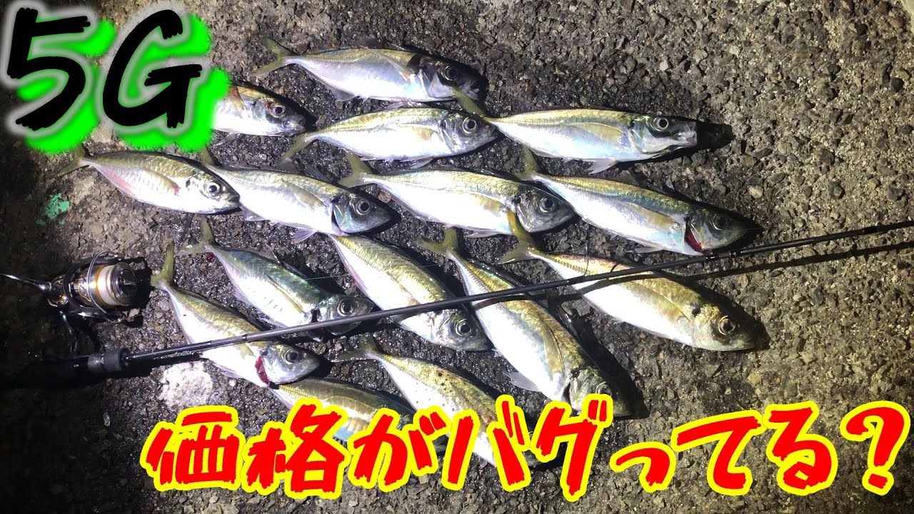 メジャークラフトNEWロッド【鯵道5G】を持って良型アジング！ 結果