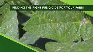 Ag PhD Show #1109 Multiple Modes of Action in Fungicides