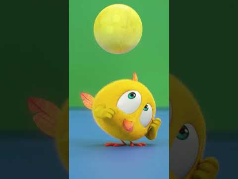 Chicky and his