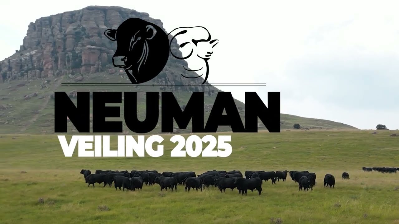 Neuman Auction 2025