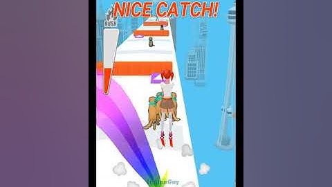 Dog Whisperer 3D  👸🐕🐕‍🦺🦮  NEW UPDATE!! All Levels Gameplay Android,ios