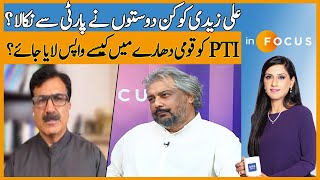 Which Friends Removed Ali Zaidi From The Party? | Infocus | Dawn News