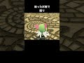 サーナイトたちの寝方の違い【ポケモンZA】