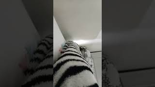 25 de fevereiro de 2026