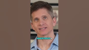 Protect Your Heirs Spendthrift Trusts vs  Lump Sums