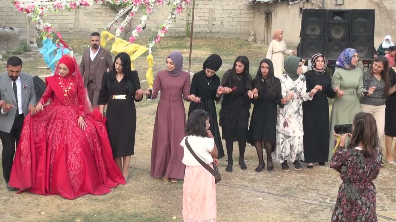 Diyadin düğünleri aşireti  düğünler #aşiretdüğünü #kürtçehalay #kürtçemüzik #halaybaşı #shorts