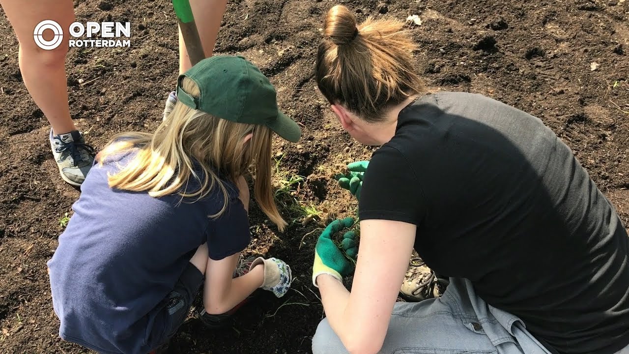 010nu - Bloemen planten in het centrum om bijen de ruimte te geven lokale präpositionen übungen