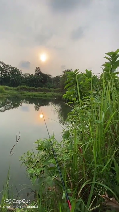 iwak tempek
