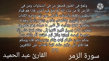 ايآت من سورة الزمر القارئ عبد الحميد 👍🔔🌹