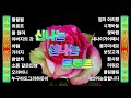 신나는 신나는 트로트 KPOP TROT PLAYLIST 꽃길 상사화 여인의 눈물 회룡포 바람길 신나는 신나는 트로트 KPOP TROT PLAYLIST 꽃길 상사화 여인의 눈물 회룡포 바람길